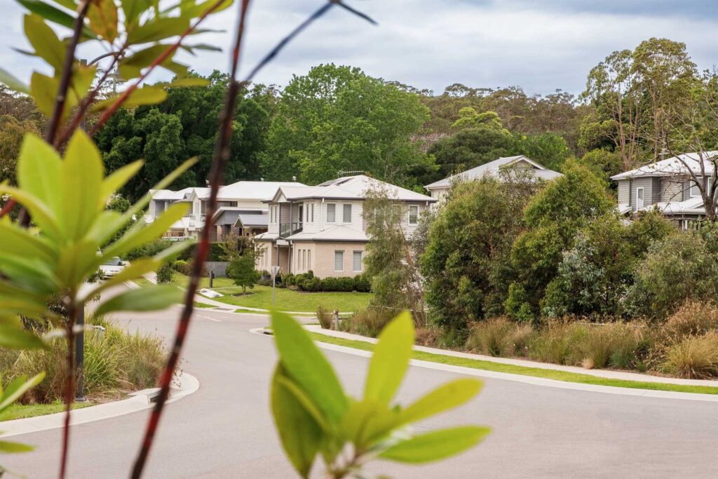 Ringal Valley Estate